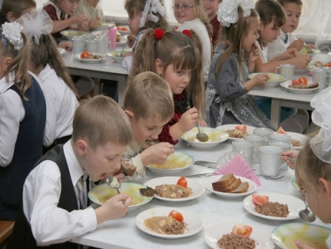 Овидиопольская фирма будет год кормить школьников района за 11 миллионов