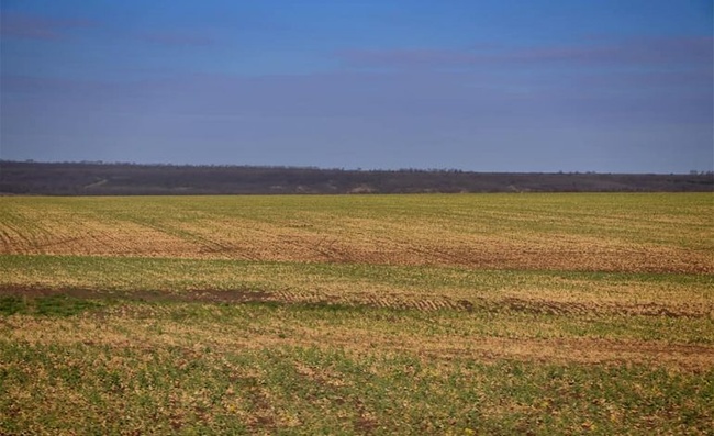 Чрезвычайная ситуация госуровня: аграрии Одесской области потеряли 6 миллиардов из-за засухи