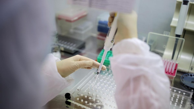 Жителей Одесской и Сумской областей первыми будут тестировать на антитела к COVID-19