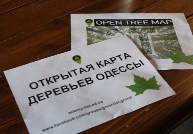 Одесскому проекту электронной карты деревьев дали грант