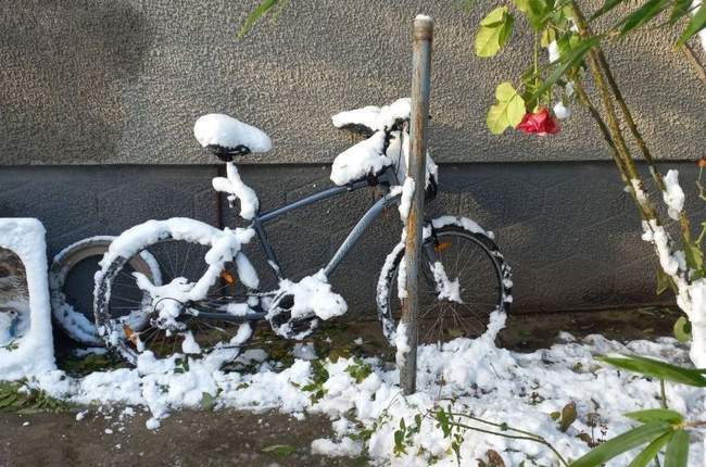 Фото: Геннадій Голубєв