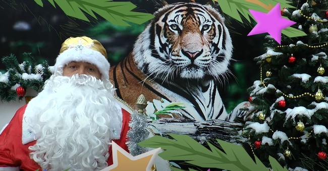 Новорічне та різдвяне привітання від Одеського зоопарку