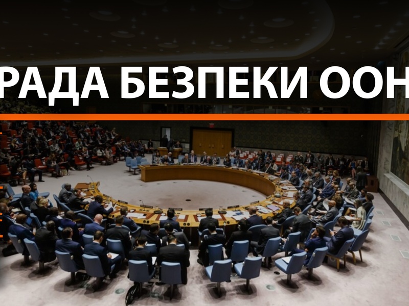 Міжнародні організації: Рада Безпеки ООН