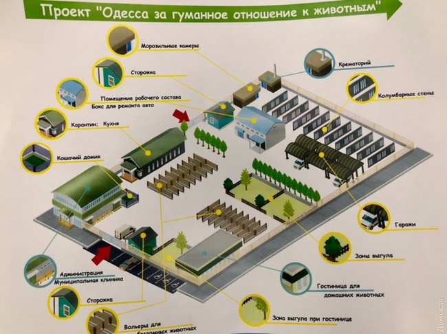 Одесским чиновникам поручили ускорить работу по обустройству крематория для домашних животных на Шестом километре