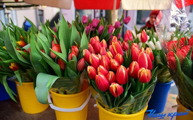 На улице Пушкина в Измаиле разрешат продавать цветы только пенсионерам