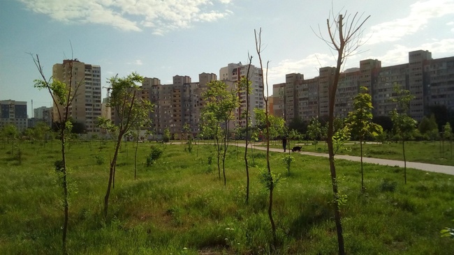 У парка Энтузиастов на поселке появился шанс: депутаты согласились внести его в перечень зеленых зон