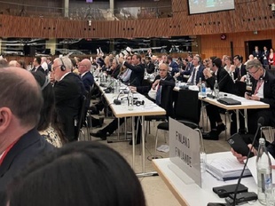 Парламентська асамблея НАТО визнала термін "рашизм" та засудила його як ідеологію