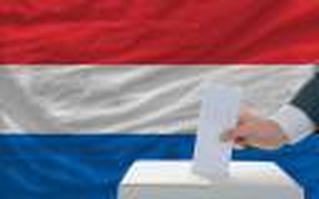 Тюльпаны для Украины: как в Нидерландах выбирают власть и проводят референдумы