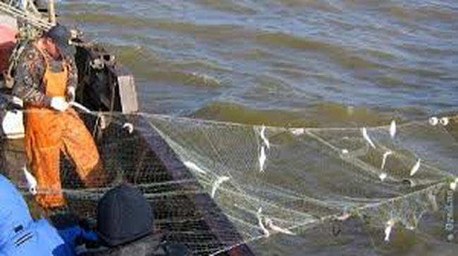 Вилковские рыбаки намерены устроить акцию протеста на трассе Одесса-Рени