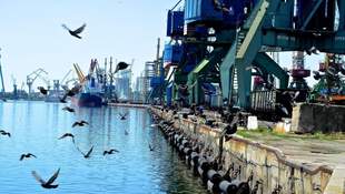 Mykolaiv Port Authority plans to spend eight million on equipment reconstruction