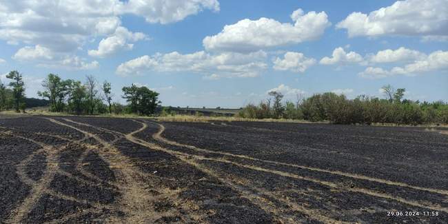 Фото: Державна екологічна інспекція Південно-Західного округу