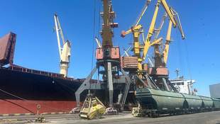 BES exposes unscrupulous wheat exporter through Odesa region ports