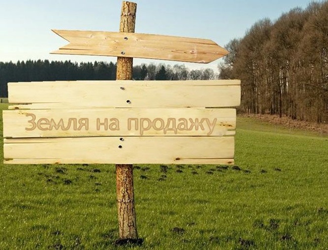 В 2017 году Одесская мэрия продавала землю в среднем по 850 гривень за квадратный метр