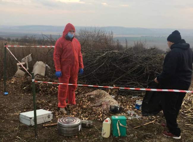 Фото: Фото: Головне управління Держпродспоживслужби