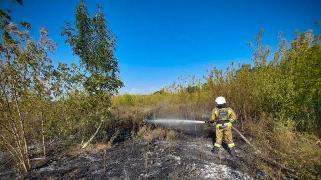 PHOTO: State Emergency Service of Ukraine in Mykolaiv Oblast