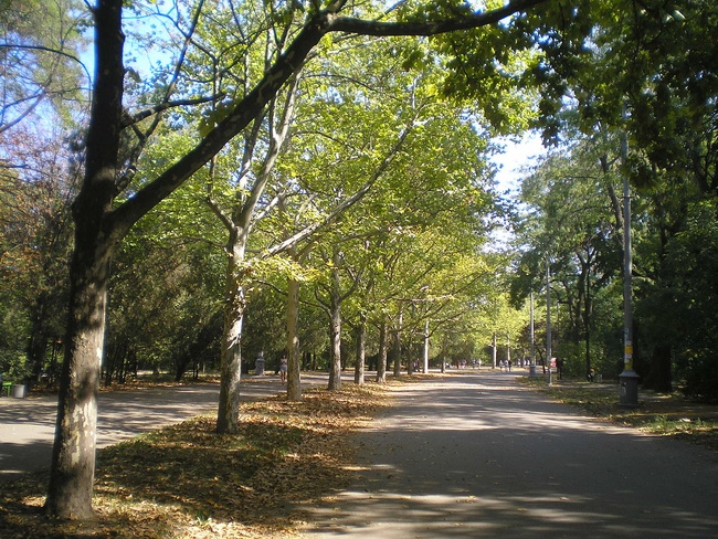 У 2021 році в Одесі інвентаризували 11 парків та скверів