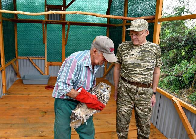 В дельте Дуная появятся краснокнижные филины