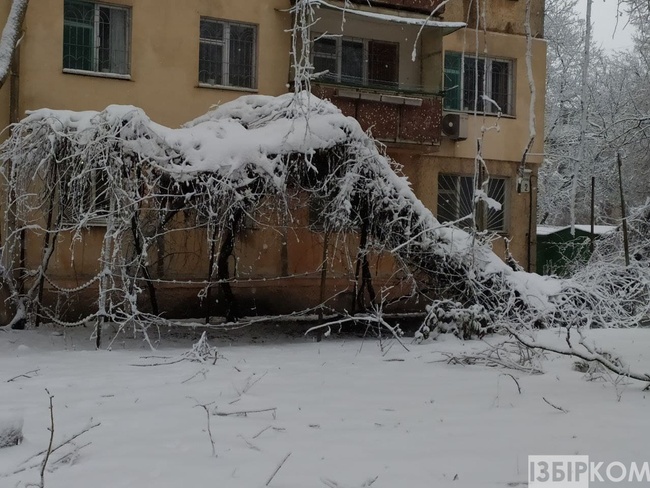 Помаранчевий рівень небезпеки: в Одесі знов чекають на морози, сніг та ожеледь