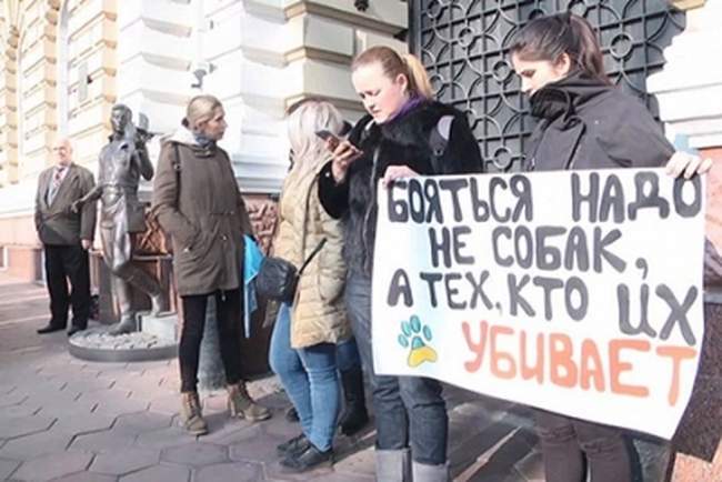 Нардепы-одесситы проигнорировали голосование за закон об усилении уголовной ответственности для живодеров