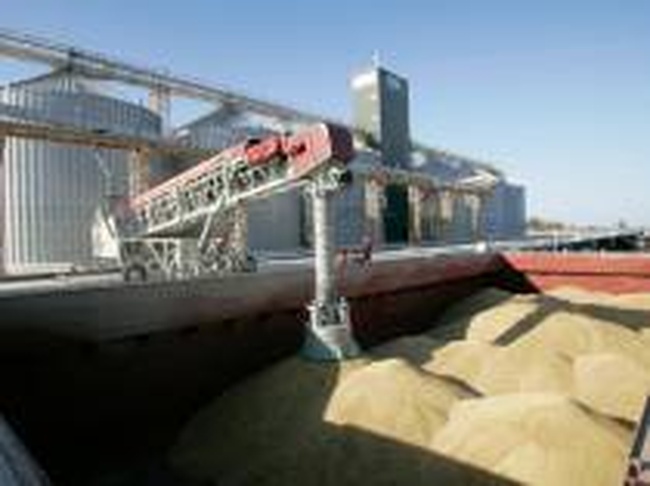 Во многом благодаря одесским портам Украина вошла в тройку экспортеров зерна