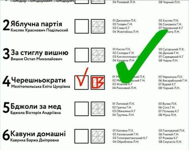 Як правильно заповнювати бюлетені на виборах 25 жовтня