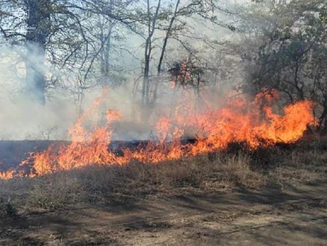 Фото: ДСНС України в Миколаївській області