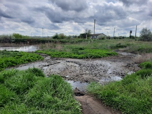 На півдні Одещини виявили забруднення земель стічними водами