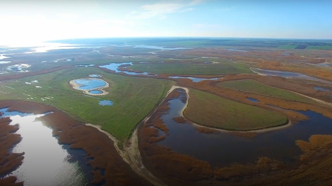 Экологи намерены снести плотины по реке Когильник: ждут возвращения выдр и редких птиц