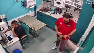 В Одесі відвідувач ветеринарної клініки облаяв лікаря-ветеринара через протези
