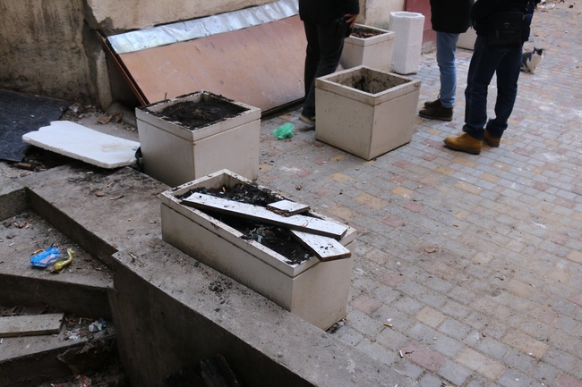 В центре Одессы после ремонта двора украли декоративные растения вместе с землей