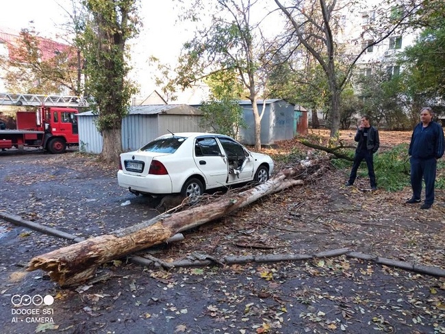 Наслідки падіння дерев в Одесі. Фото: Одеська мерія