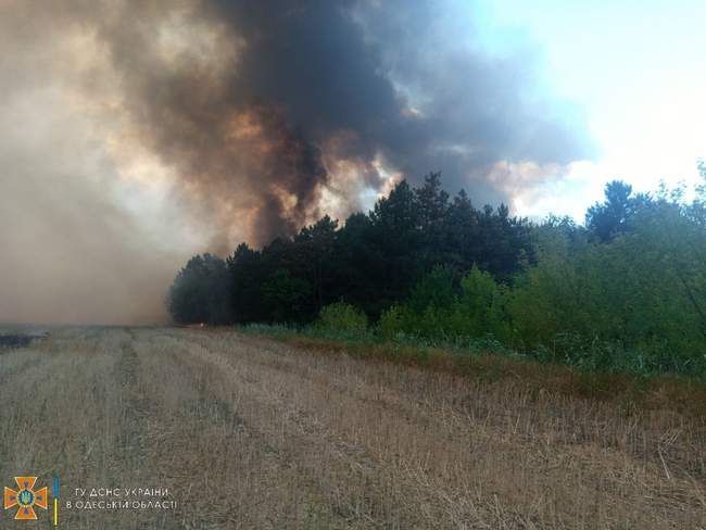 Фото: ГУ ДСНС в Одеській області