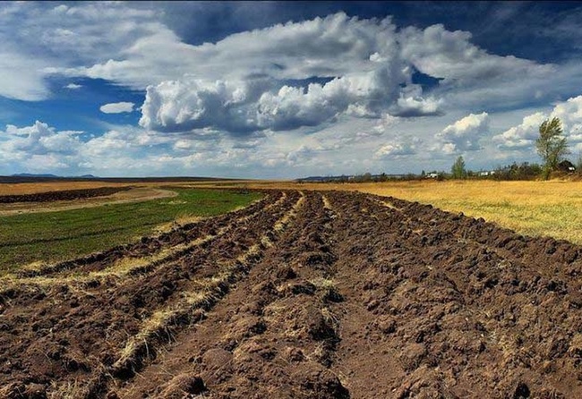 В Одеській області  у комунальну власність повернули землю вартістю 743 мільйони