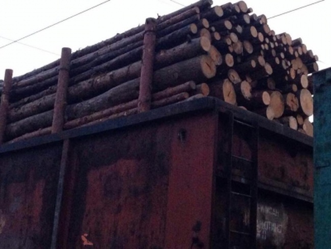 Через Одесскую область пытались вывезти более полусотни вагонов с лесом