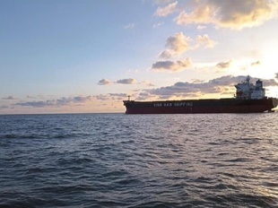 Новим коридором для вивезення зерна з портів Одеси планують скористатись 20 суден