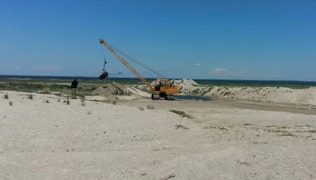 Керівниця нацпарку «Тузловські лимани» поскаржилась на поліцію до ДБР