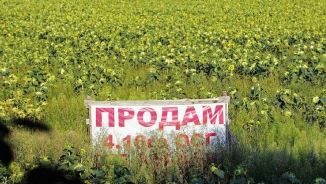 Одесская область - на четвертом месте по количеству продаваемых земельных паев