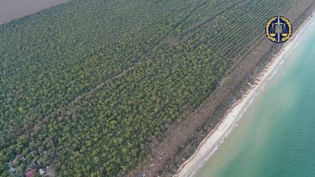 Прокуратура відсудила частину лісового масиву нацпарку «Тузловські лимани»