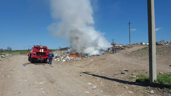 В Березовке неизвестные подожгли мусорную свалку