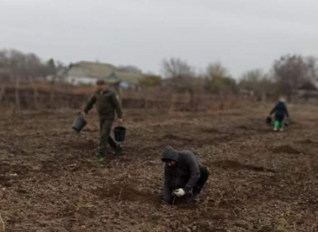 Фото: Вилківська міська рада