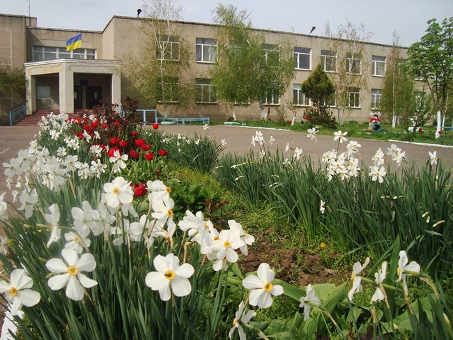 Директорка школи на Одещині отримала догану за перевищення службових повноважень