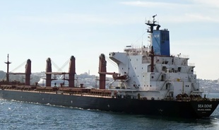 У портах Великої Одеси знову завантажують хімічні танкери