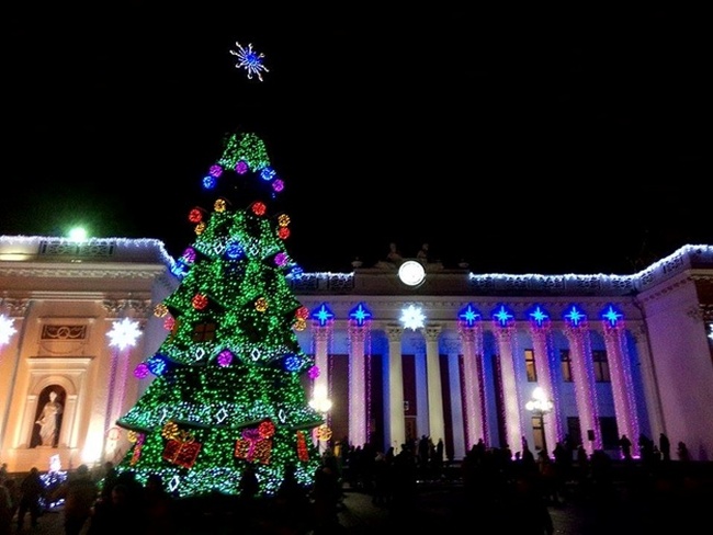 Черноморская фирма заработала за год на новогодней иллюминации и елках  более 11 миллионов