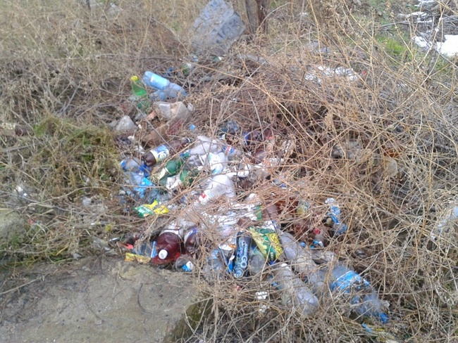 Крыжановский сельсовет пытается договориться с мусоровывозящей компанией