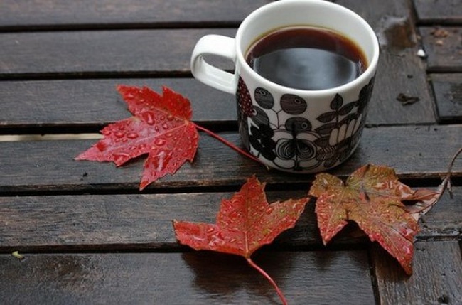 Ранкова кава від ІзбірКому: 14 листопада