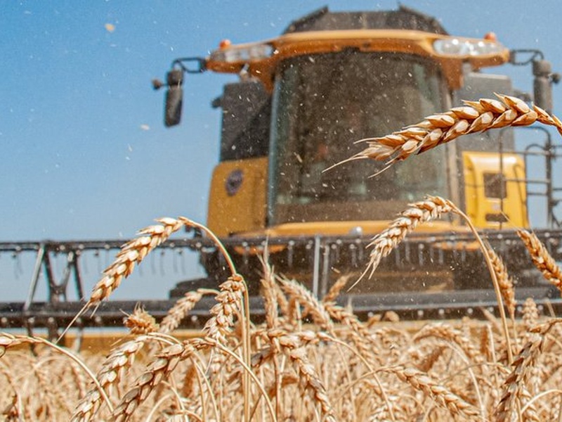 США розробляють «план Б» для експорту українського зерна після ударів по Одесі