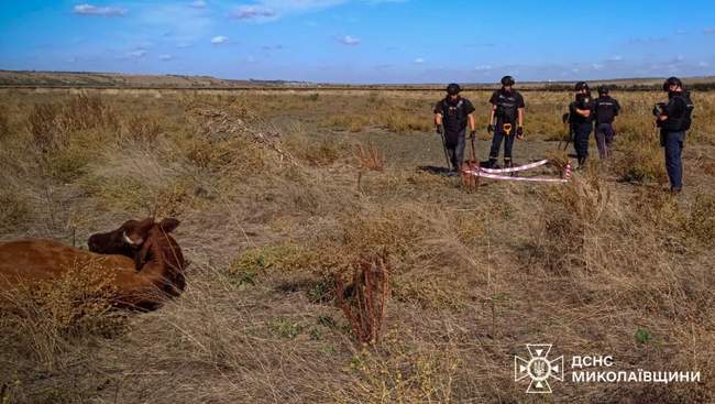 Photo: SES of Ukraine in Mykolaiv region