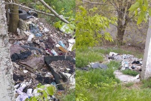 У Миколаєві екологи "ткнули носом" місцеву владу у сміття