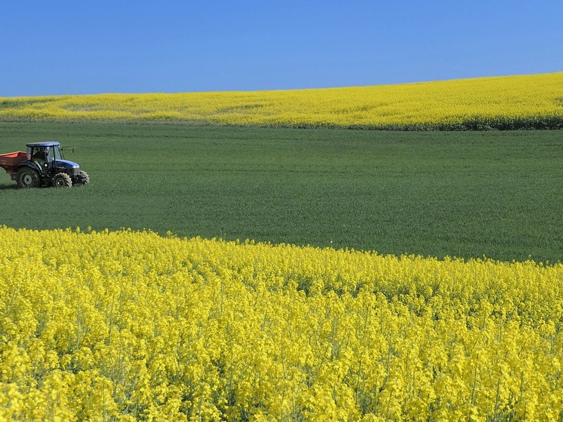 Аграрії півдня України, зокрема Одещини можуть отримати кошти від держави