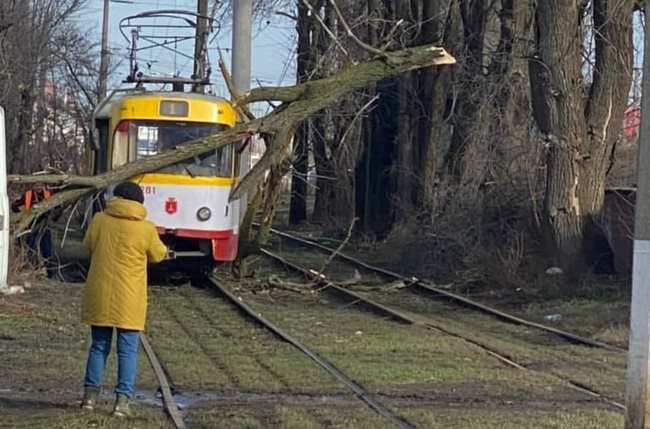 Через сильний вітер в Одесі постраждали два трамваї